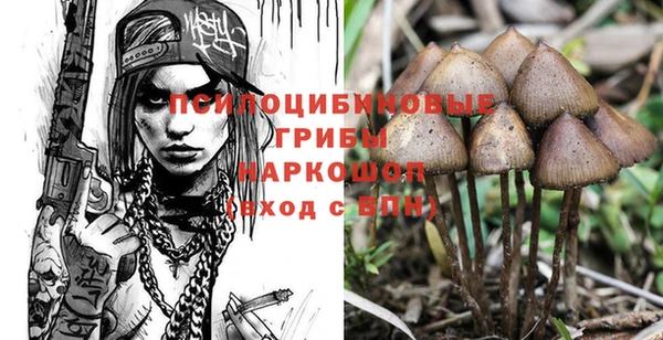 винт Лиски