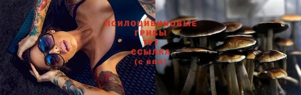 эйфоретик Лихославль