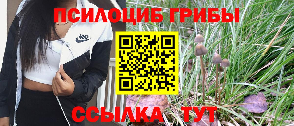 Галлюциногенные грибы Psilocybine cubensis  как найти наркотики  Десногорск 