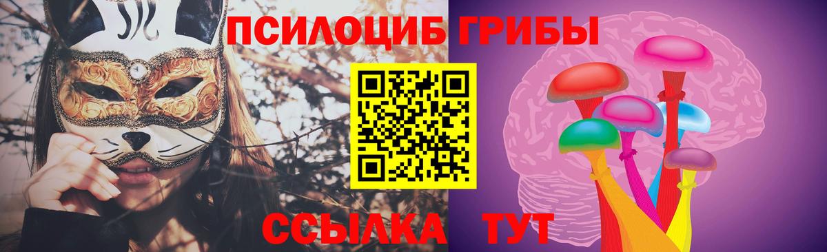 Псилоцибиновые грибы GOLDEN TEACHER Десногорск